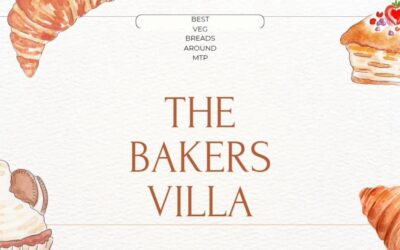 “7 Picks for Best Veg Breads Around Mettupalayam”